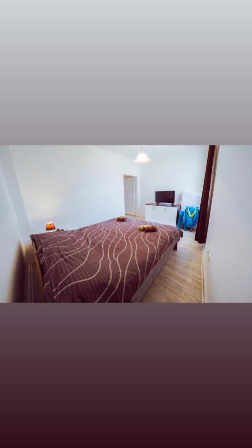 Apartmani Trajkovic Soko Banja Bagian luar foto